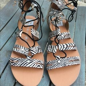 Women's Dolce Vita DV Gladiator Sandals 6.5M NEW